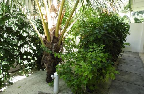 Thoddoo Casa | Karaa Village