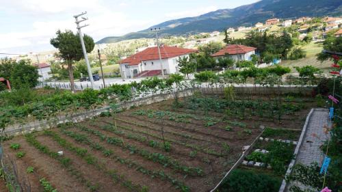 Salda Casa | Karanfil Pansiyon
