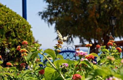 Karfas Apartamento | Karfas Bay View