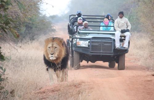 Maruleng Cabina | Karongwe - Becks Safari Lodge