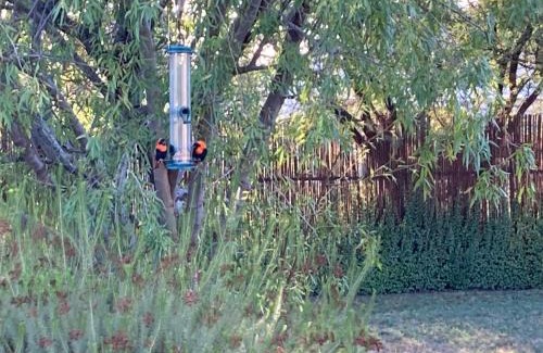 Prince Albert Casa | Karoo Feels