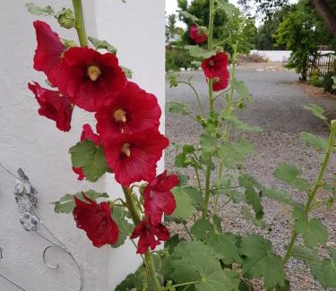 Richmond - NC Casa | Karoo Manor Guesthouse and Restaurant