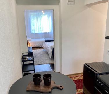 Antsla Parish Apartamento | Karula Stay 1-Room Apartment