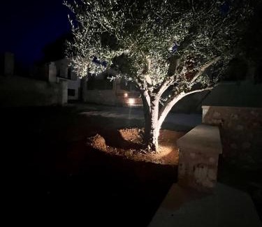 Porto Heli Casa | Kassandra