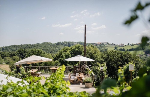 Sankt Anna am Aigen Apartamento | Kastanienzimmer mit Terrasse - Weingut & Gästehaus Pfeifer St. Anna am Aigen