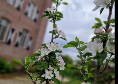 Haelen Cama Y Desayuno | Kasteel Aldenghoor