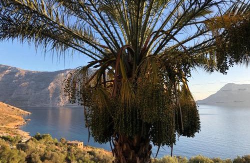 Kalymnos Casa | Kastri Apartments