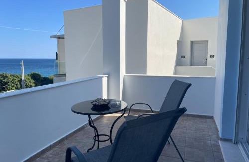 Paralia Agias Fotinis Apartamento | Katerina's Sea View House A