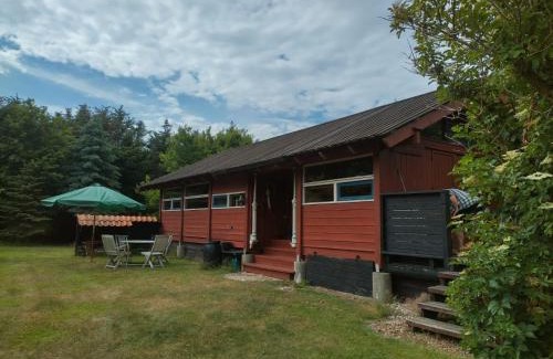Trans Casa | Kathøje
