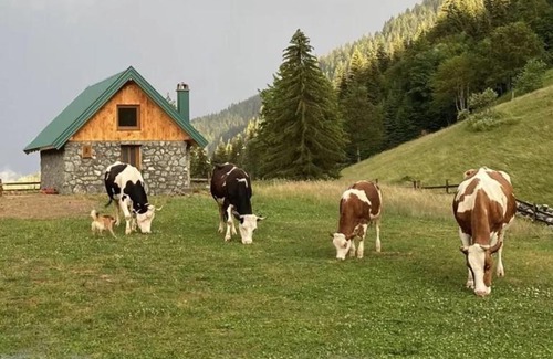 Montenegro Casa | Katun Suvodo-Domaćinstvo Šekularac