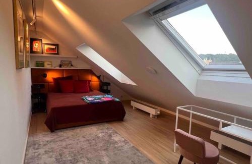 Old Town Apartamento | KAUNAS ATTIC, Apartment in the heart of Kaunas