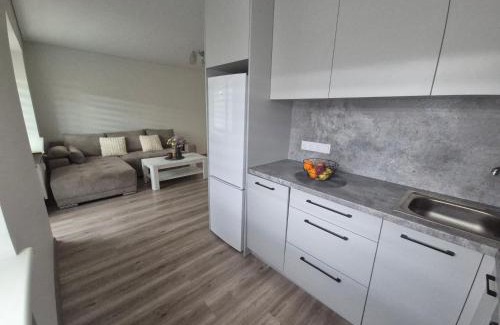 Kaunas Apartamento | Kaunas City Apartment