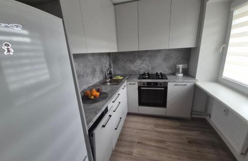 Kaunas Apartamento | Kaunas City Apartment