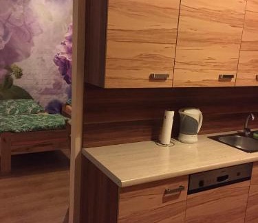 Poznan City Center Apartamento | Kawalerka Fredry 3/13