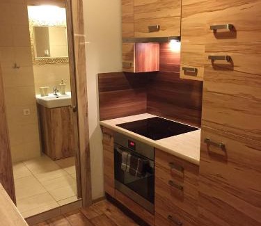 Poznan City Center Apartamento | Kawalerka Fredry 3/13