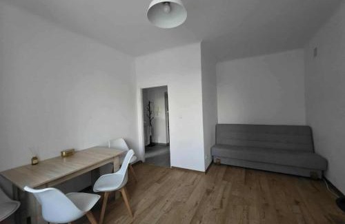 Krasnik Apartamento | Kawalerka Krasińskiego