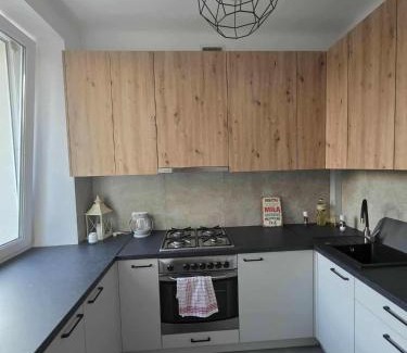 Krasnik Apartamento | Kawalerka Krasińskiego