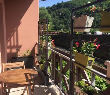 Kaysersberg-Vignoble Apartamento | KAYSERSBERG - Downtown - Balcony and Parking