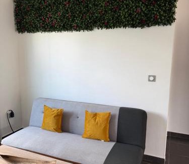 Cayenne Apartamento | Kaz'Baduel piscine, terrasse et jacuzzi privatif, wifi et climatisation