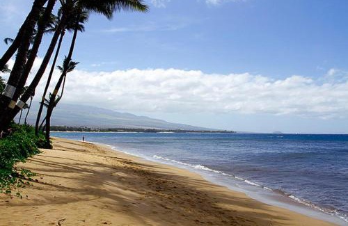 Kihei Apartamento | Kealia Resort 203