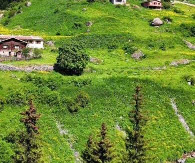 Caykara Casa | Keleş Dag Evi