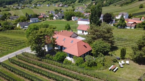 Eisenberg an der Pinka Apartamento | Kellerstöckl - Zur Weinrebe 2