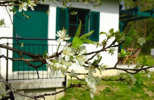 Kohfidisch Casa | Kellerstöckl am Berg - Das Grüne