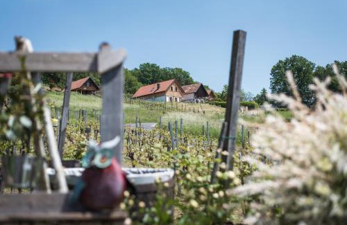 Eltendorf Casa | Kellerstöckl Uhudlerei 39