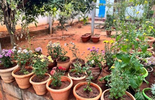 Hanmakonda Apartamento | Kelly cottages