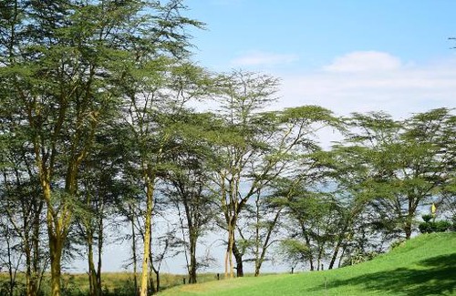 Gilgil Casa | KENSTAY VILLA
