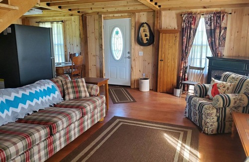 Savona Cabina | Kermit’s Cabin in Finger Lakes Region