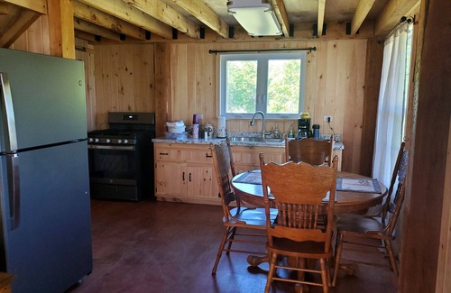 Savona Cabina | Kermit’s Cabin in Finger Lakes Region