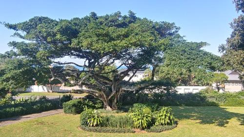 Zinkwazi Beach Casa | KERYNMERE, Zinkwazi Beach