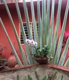 Lome Casa | Keryvonne