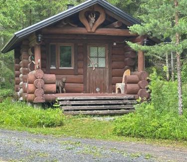 Jyvaskyla Chalet De Esquí | Kesämökki Korpilahdella, Päijänteen rannalla
