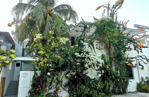 Thulusdhoo Island Casa | Keyla Inn