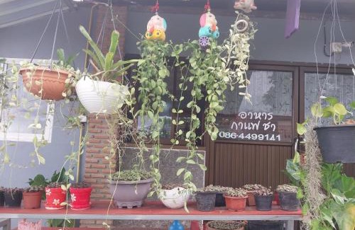 K. Phu Pieng Casa | Khai Mook Homestay