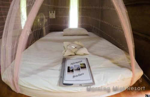 Khlong Sok Complejo | Khao Sok Morning Mist Resort