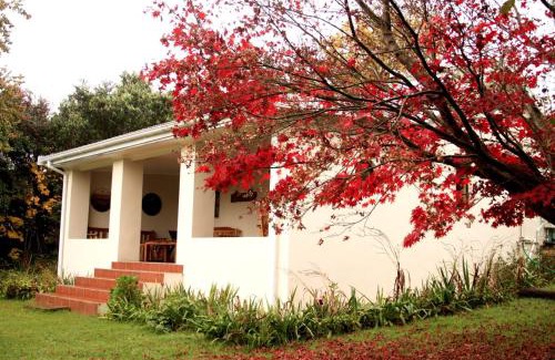 Hogsback Apartamento | Khayalethu Cottage