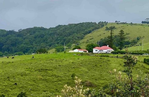Kiama Heights Otro | Kiama · Kiama Ocean View Cottage lifestyle