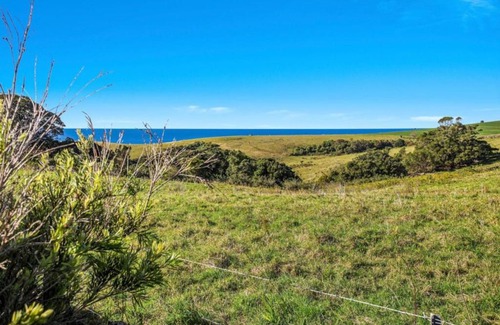 Kiama Heights Apartamento | Kiama Ocean View Cottage lifestyle