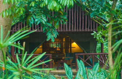 Kibale Cabina | Kibale Forest Camp by NATURE LODGES LTD