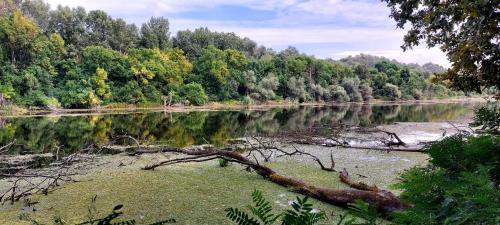 Lakitelek Casa | Kicsi Rigó Nyaralóház