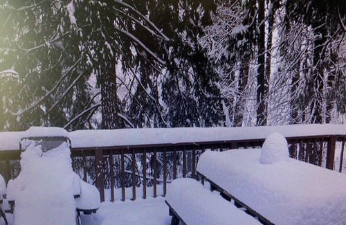 Mi-Wuk Village Casa | Kid & Pet Friendly Beautiful Fully Functioning Cabin Sleeps 8