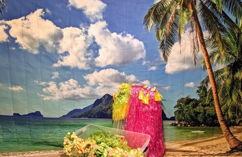 Vermilion Casa | Kiki's Tiki - Aloha Ohio! Pet friendly Family Getaway to Lake Erie
