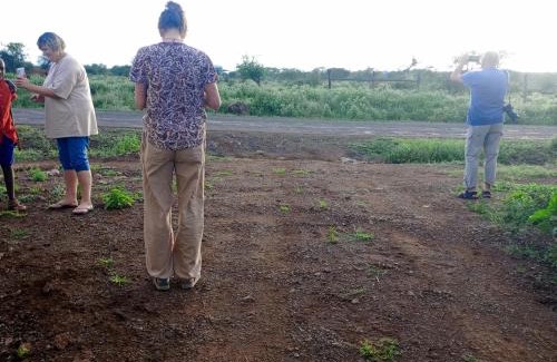 Kimana Otro | KILIMANJARO COTTAGES AMBOSELI