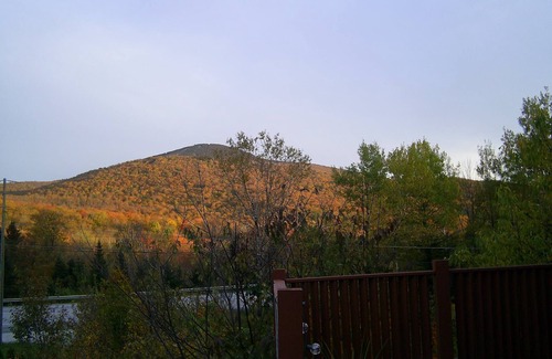 Killington Cabina | Killington / Mendon CLEAN, 1 bedroom cabin