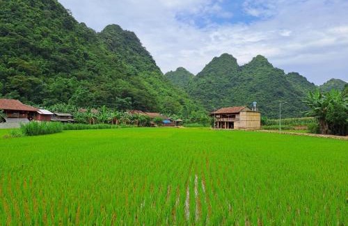 Quang Uyen Apartamento | Kim