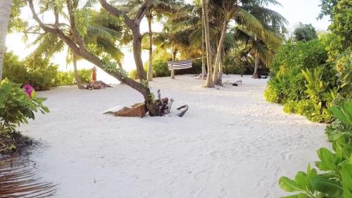 Thoddoo Casa | Kin'bi Inn Guest House and Shopette