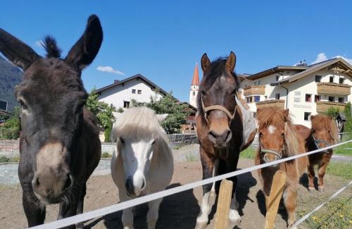 Wald Casa | Kinderbauernhof Ierzerhof